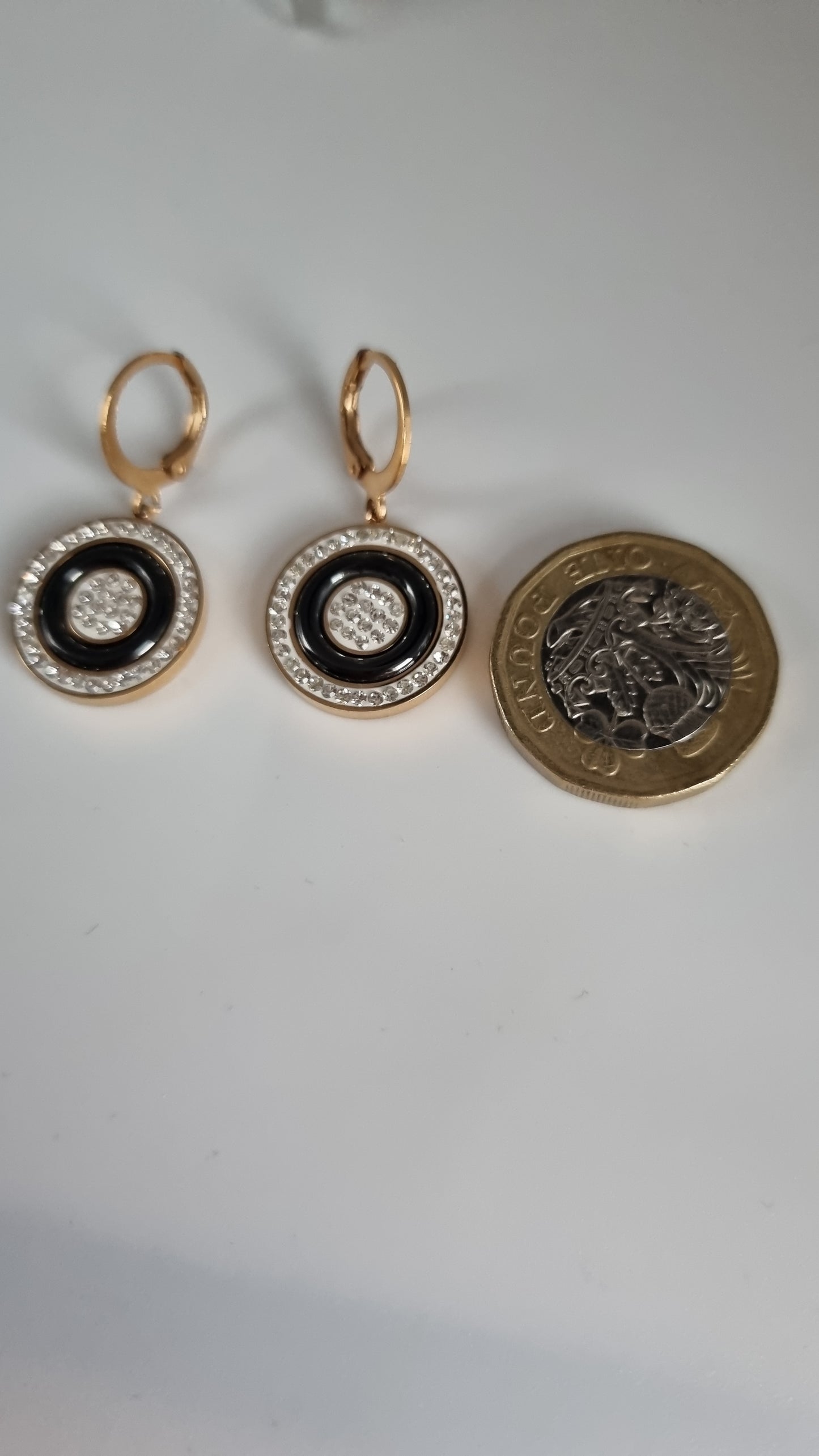 Stainless steel rose gold plated earrings with sw.crystal