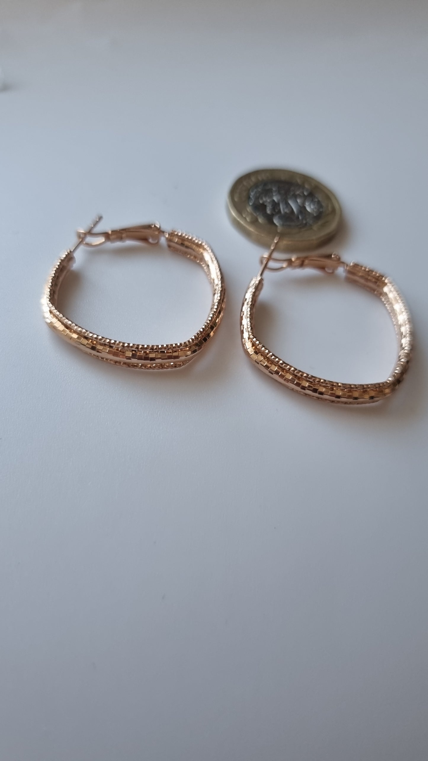 18kr.gold plated earrings