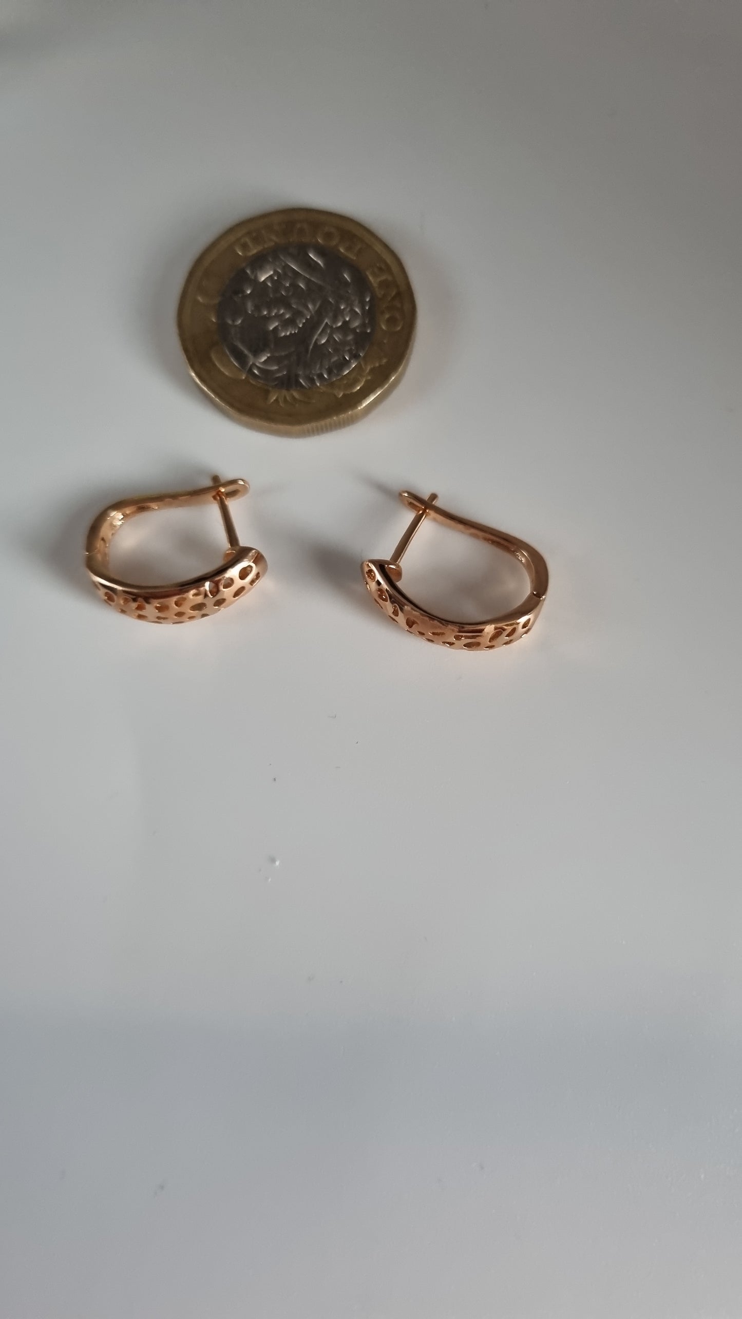 18kr.gold plated earrings